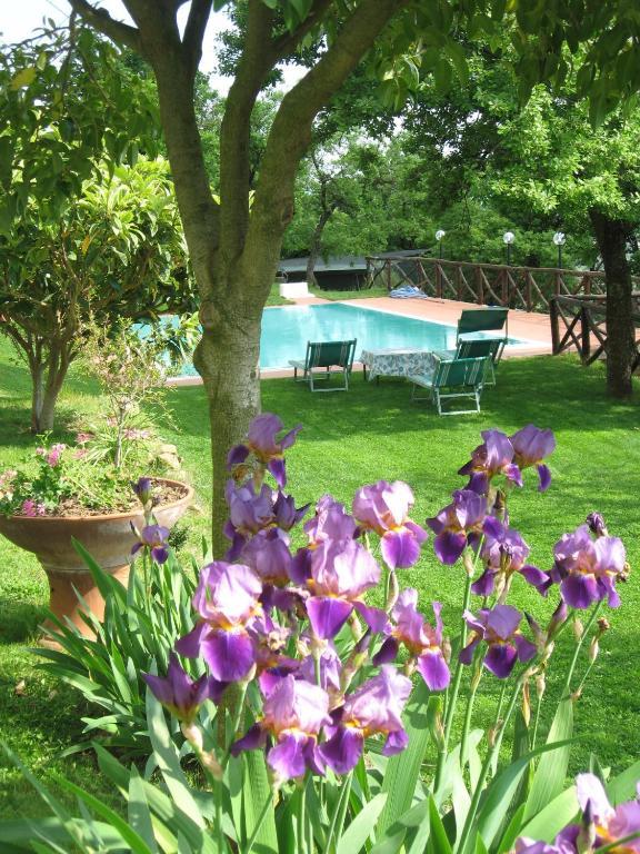 Agriturismo La Capitata Pian di Scò المظهر الخارجي الصورة